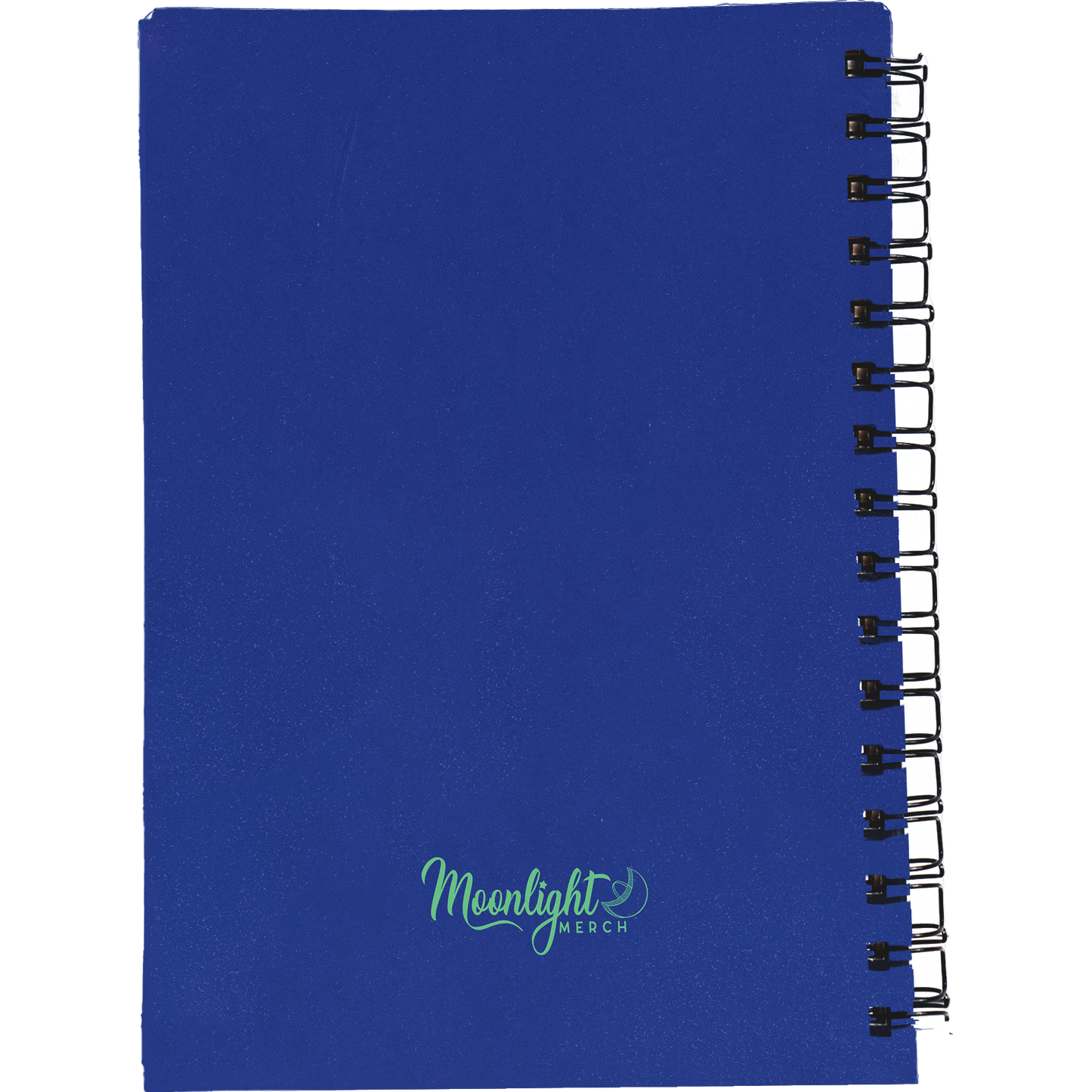 Vivid Pulses - Notebook