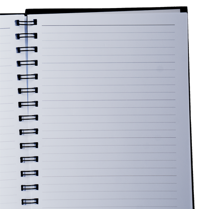 History of Del Rey - Notebook